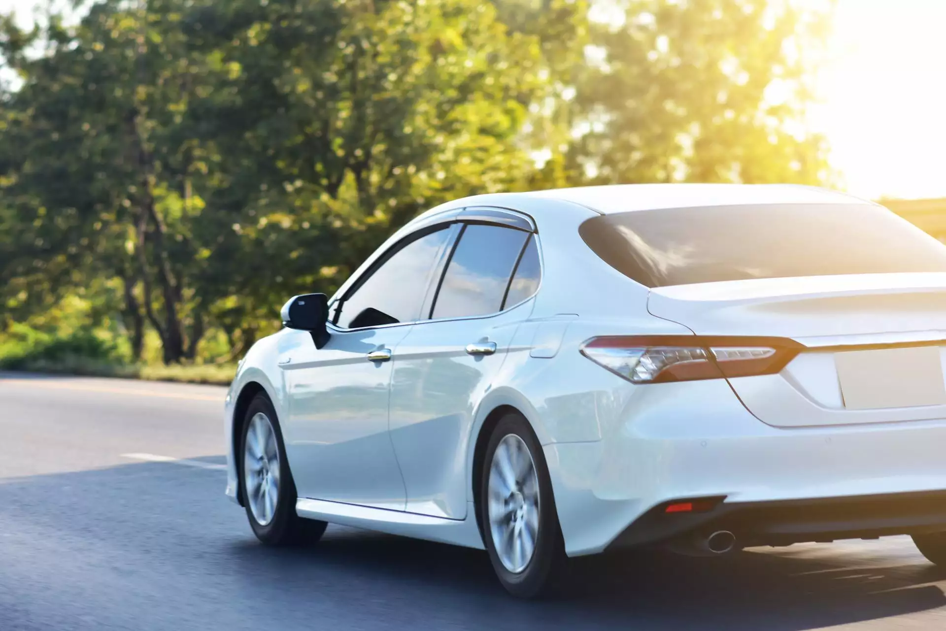 Preferenze e prospettive per il 2025